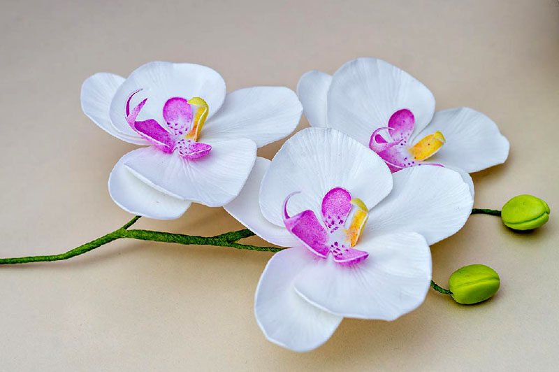 По веточке орхидеи без труда можно определить пошаговый процесс изготовления